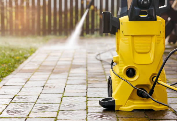 Best Animal Enclosure Cleaning  in Chicago Ridge, IL